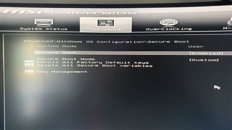 is secure boot enabled